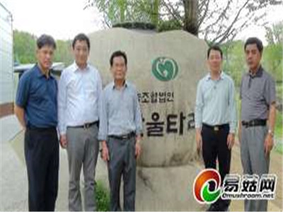 中國(guó)食用菌產(chǎn)業(yè)的挑戰(zhàn)-----韓國(guó)食用菌考察的思考